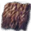 Fine Fancy Reptile Skin