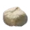 Wheat Dough