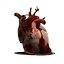 Heart of a Nordheimer