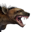 Tamed Spotted Hyena