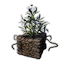 Decorative Planter (Frost Lotus)