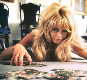 A Picture of Brigitte Bardot