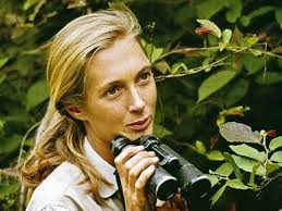A Picture of Jane Goodall