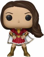 262 Mary DC Universe Funko pop