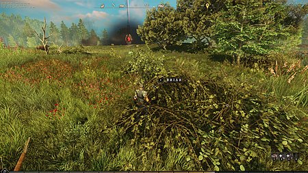  gathering harvesting briarthorn identification image for Amazon New World